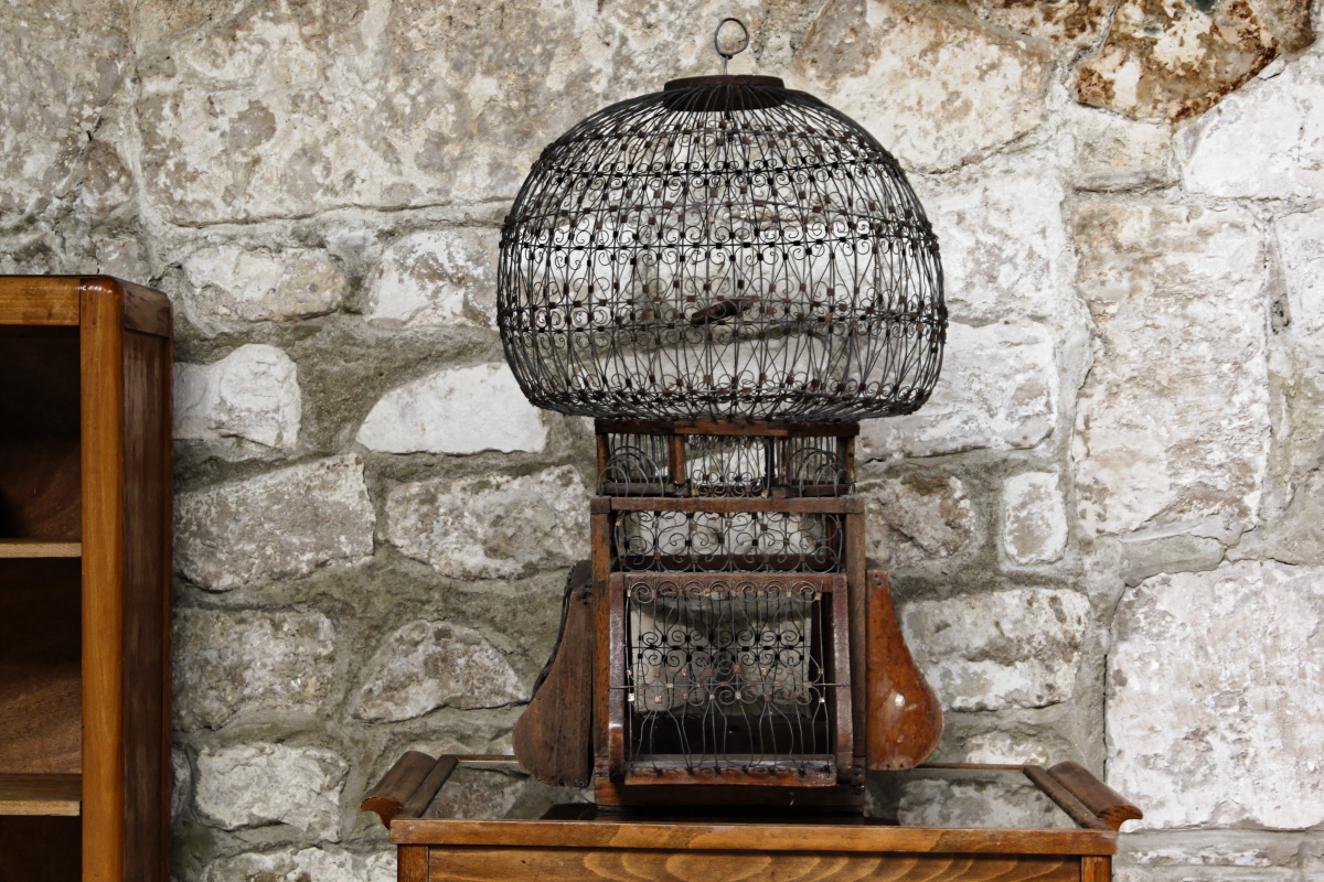 Grande cage à oiseaux ancienne – Image 2