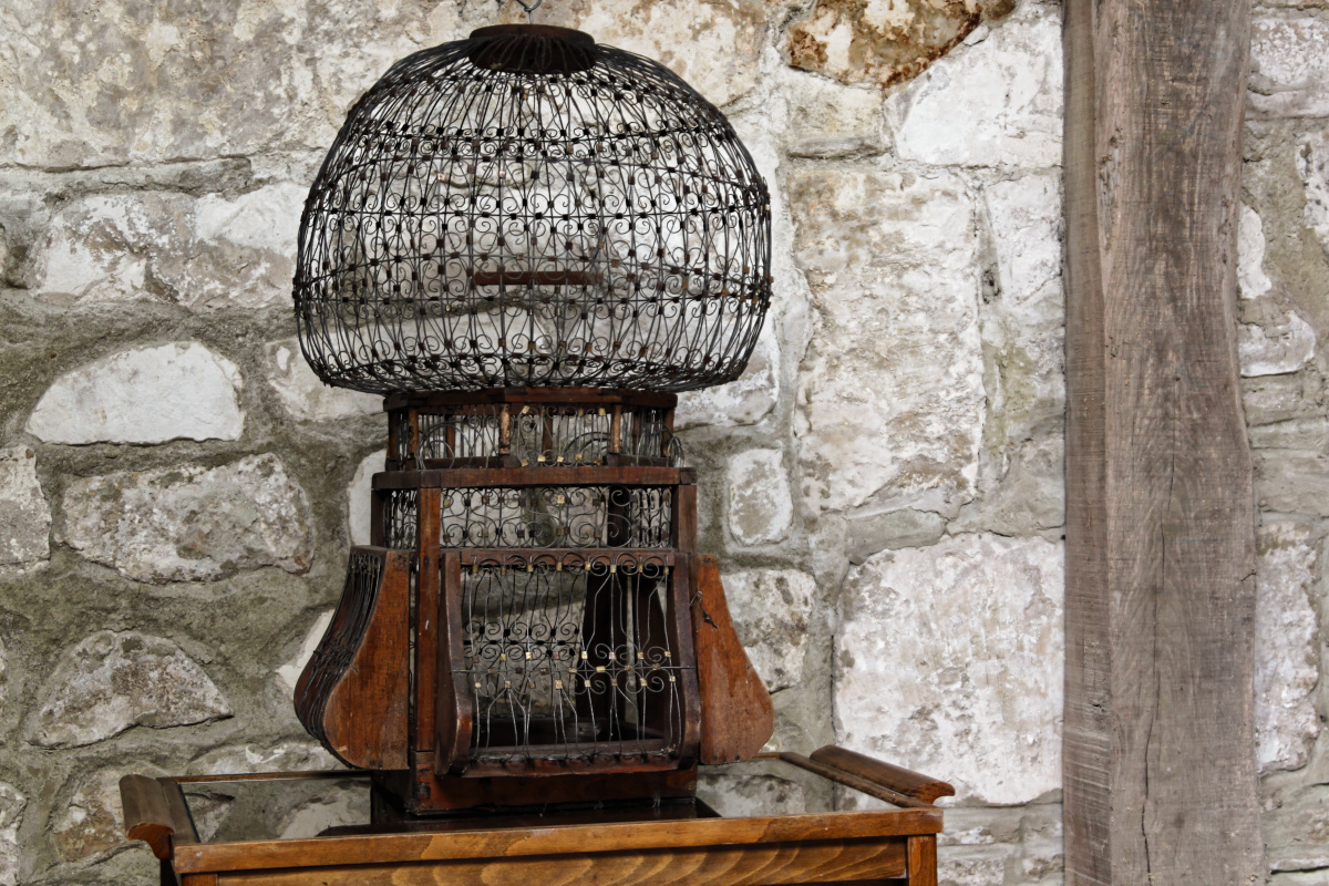 Grande cage à oiseaux ancienne – Image 7