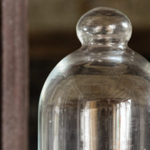 Cloche en verre
