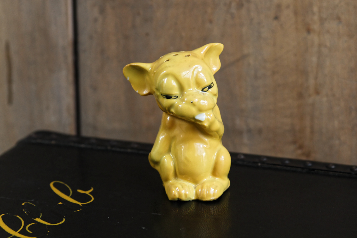 Salière Germany en porcelaine, petit chien jaune