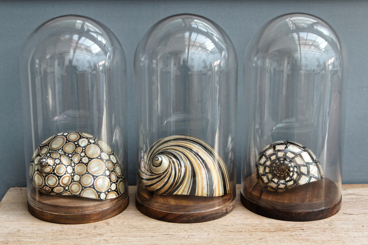 RESERVE - Trio de coquillages décorés - sous globes