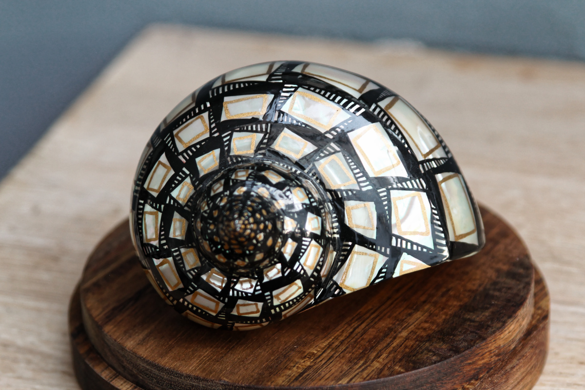 RESERVE - Trio de coquillages décorés - sous globes – Image 4