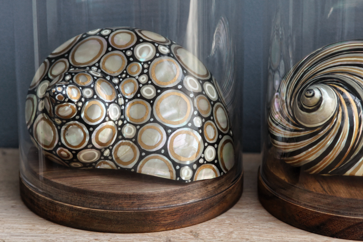 RESERVE - Trio de coquillages décorés - sous globes – Image 12