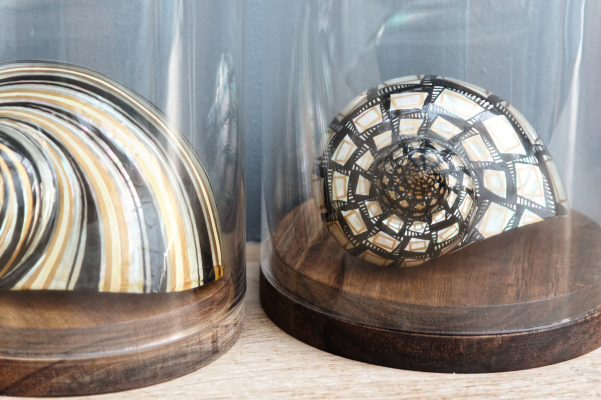 RESERVE - Trio de coquillages décorés - sous globes – Image 11