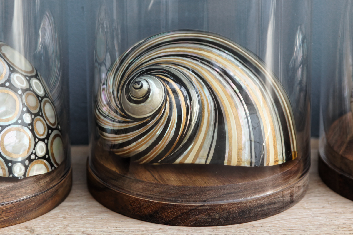 RESERVE - Trio de coquillages décorés - sous globes – Image 10
