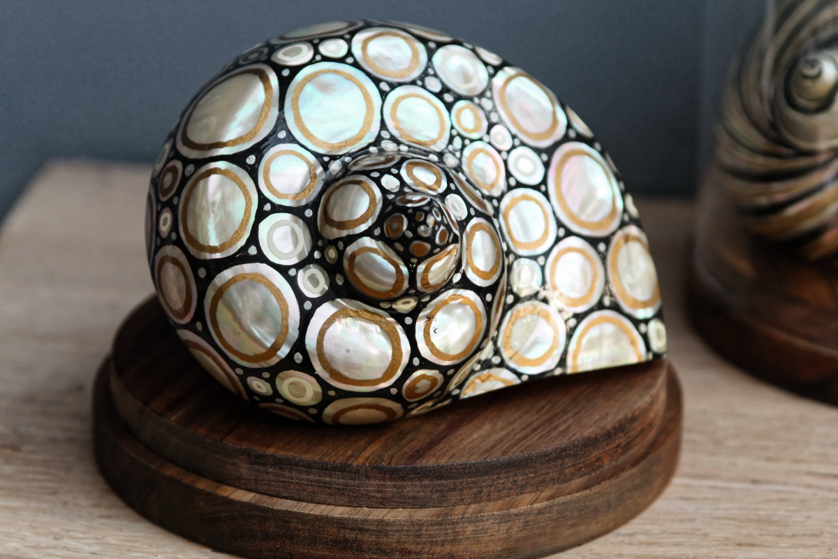 RESERVE - Trio de coquillages décorés - sous globes – Image 9