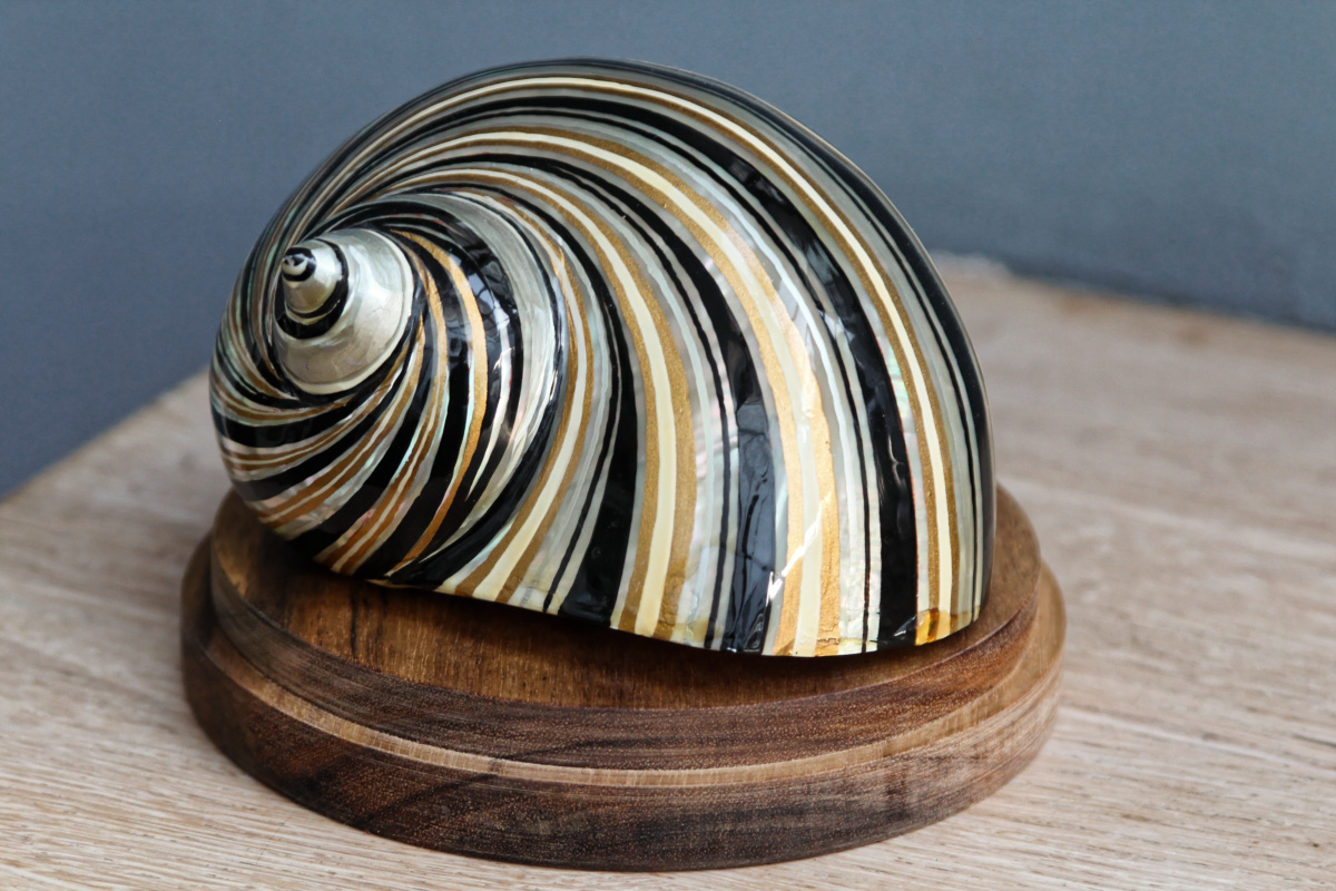 RESERVE - Trio de coquillages décorés - sous globes – Image 7