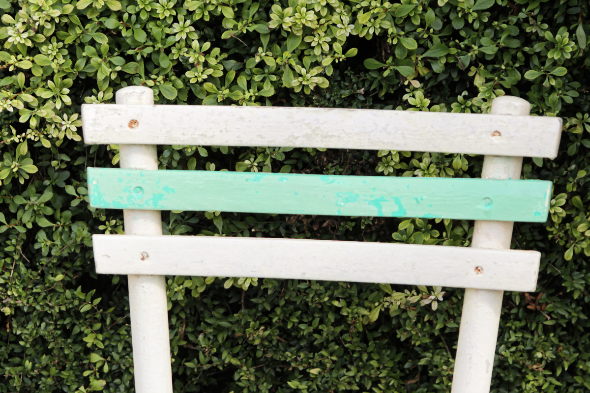 VENDU - Lot de 3 chaises de jardin lattées – Image 12