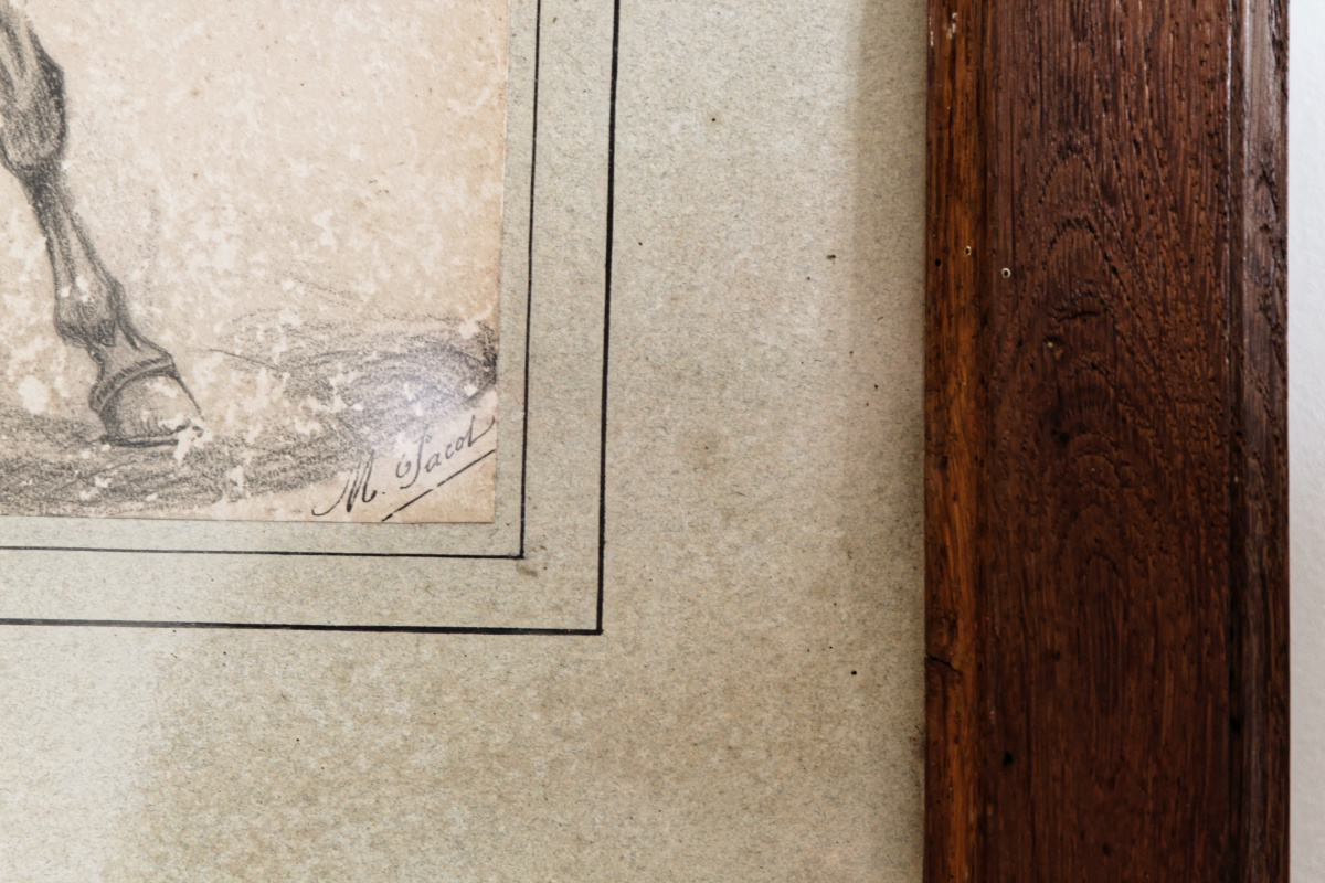 Mousquetaire à cheval - dessin à la mine de plomb – Image 4